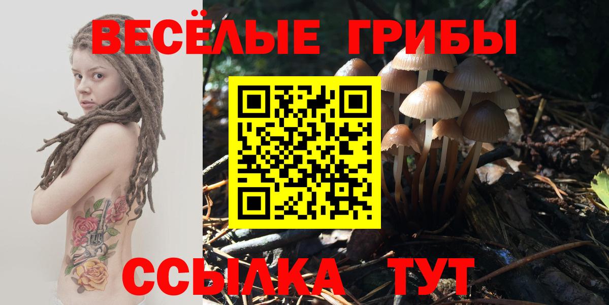 Иваново  Галлюциногенные грибы GOLDEN TEACHER  Галлюциногенные грибы Magic Shrooms  Вход с VPN 